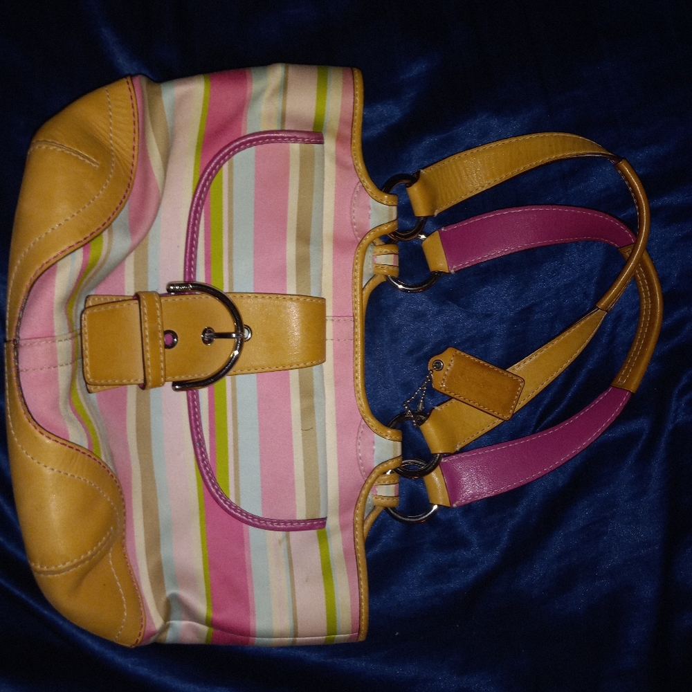 Striped Coach Handbag